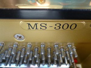 MS300_45265