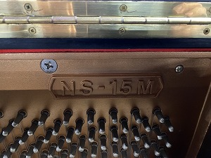 NS15M