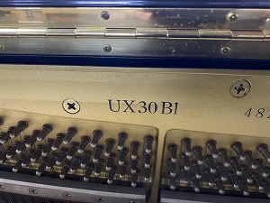 UX30BL