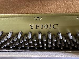 YF101C
